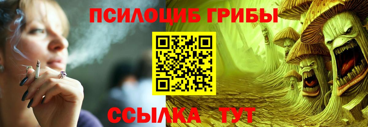Каменск-Уральский  Псилоцибиновые грибы прущие грибы  Галлюциногенные грибы Cubensis  Вход с VPN 